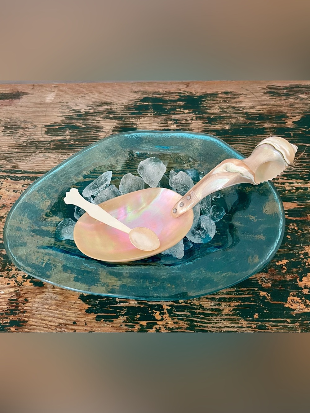 Caviar Serving Set- Shell Scoop with Spoon, and Annie Glass Oyster Shell Bowl